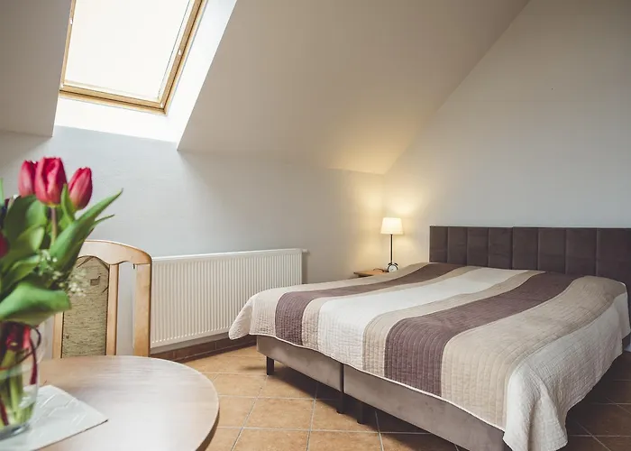 Paradise * Charzykowy